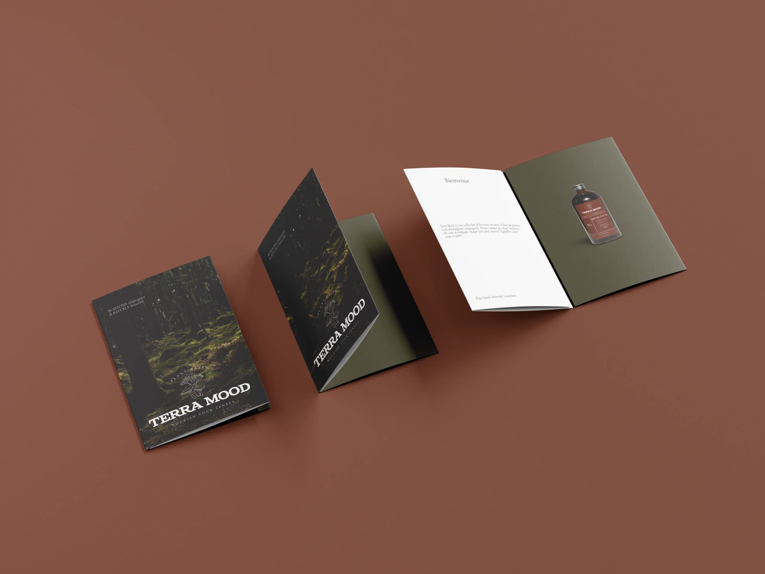 Terra mood - Brand identity & packaging, image 10