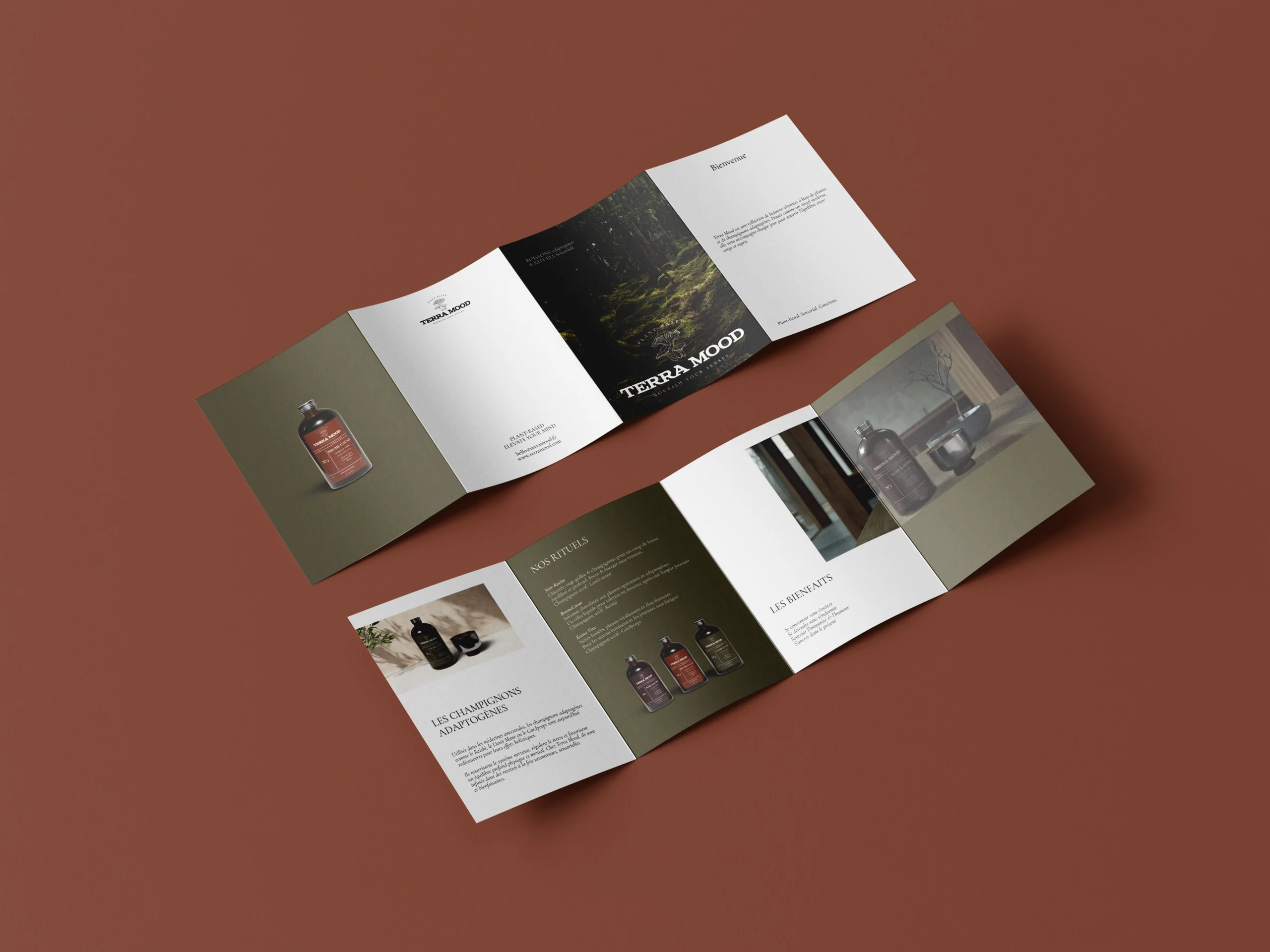Terra mood - Brand identity & packaging, image 11