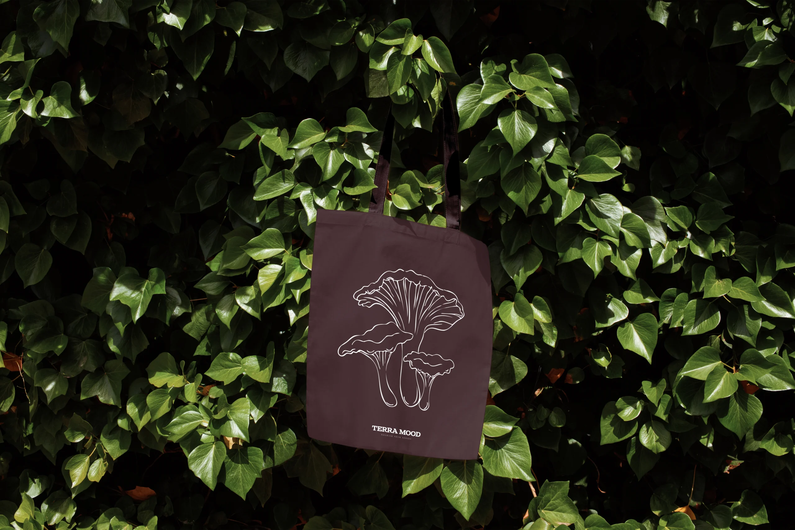 Terra mood - Brand identity & packaging, image 12