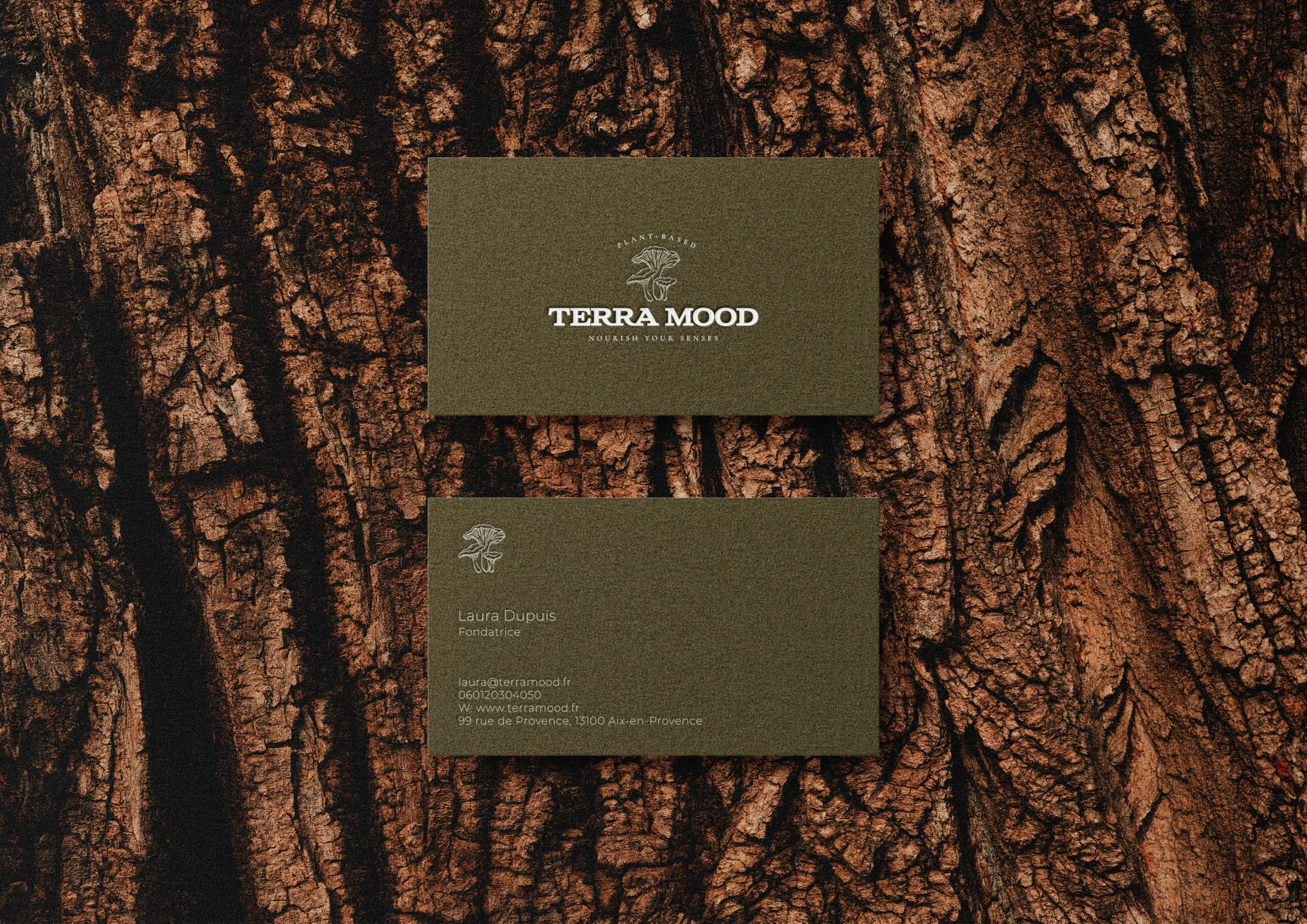 Terra mood - Brand identity & packaging, image 5